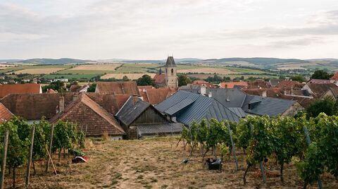 Ilustrační foto: pohled z vinice na vesnici na Znojemsku se sedlovými střechami a kostelní věží